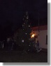 Vánoční strom 2011